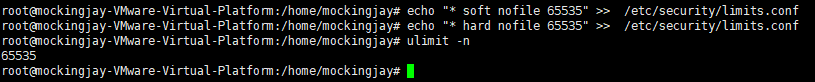 image-20241009213141390
