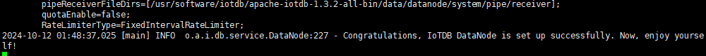image-20241011174856895