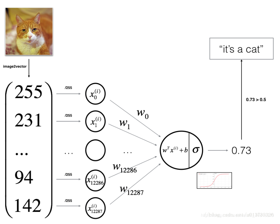 image-20241018203457066